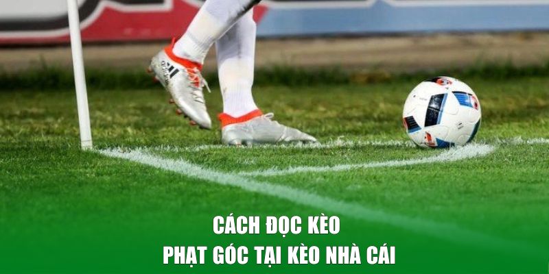 Cách đọc kèo phạt góc tại Kèo Nhà Cái