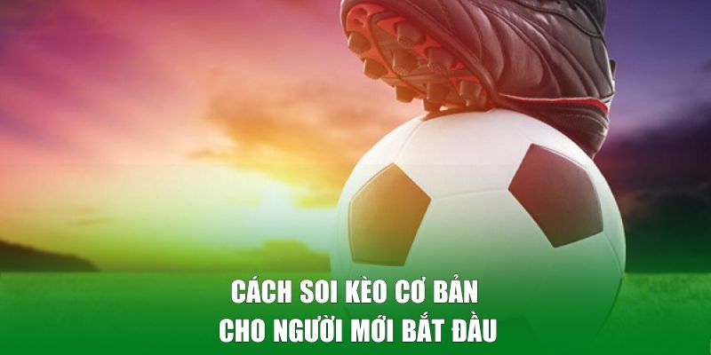 Cách soi kèo cơ bản cho người mới bắt đầu đơn giản