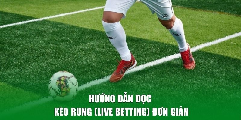 Hướng dẫn đọc kèo rung (live betting) đơn giản