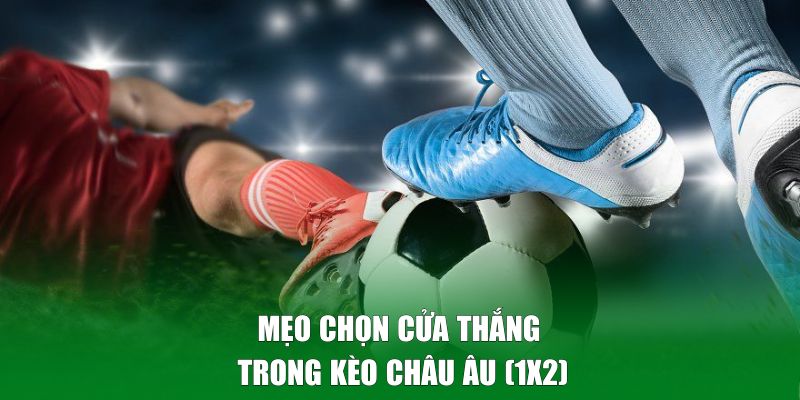 Chia sẻ mẹo chọn cửa thắng trong kèo châu Âu hiệu quả