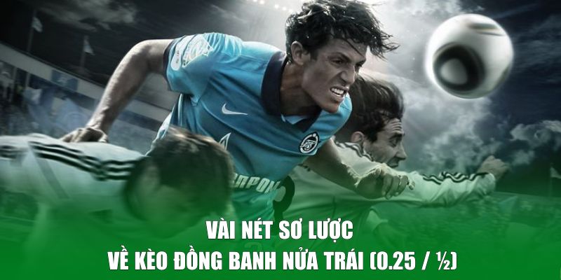 Vài nét sơ lược về kèo đồng banh nửa trái (0.25 / ¼)