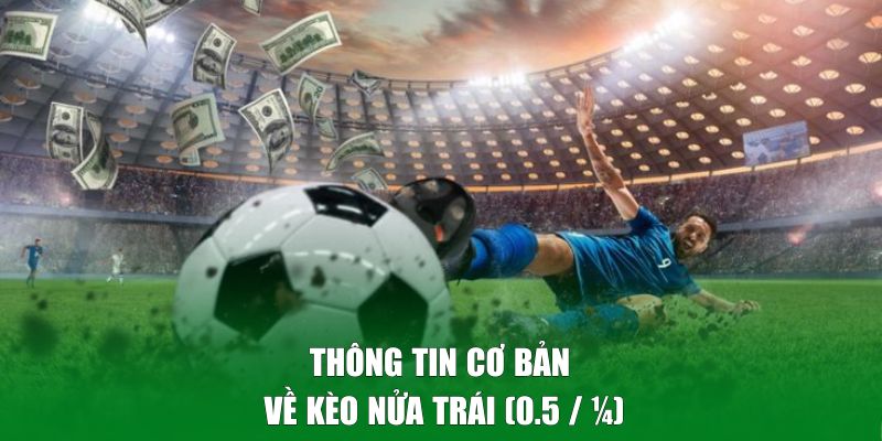 Thông tin cơ bản về kèo nửa trái (0.5 / ½)