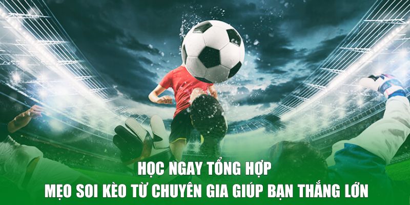 Học ngay tổng hợp mẹo soi kèo từ chuyên gia giúp bạn thắng lớn