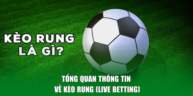 Tổng quan thông tin về kèo rung (live betting)